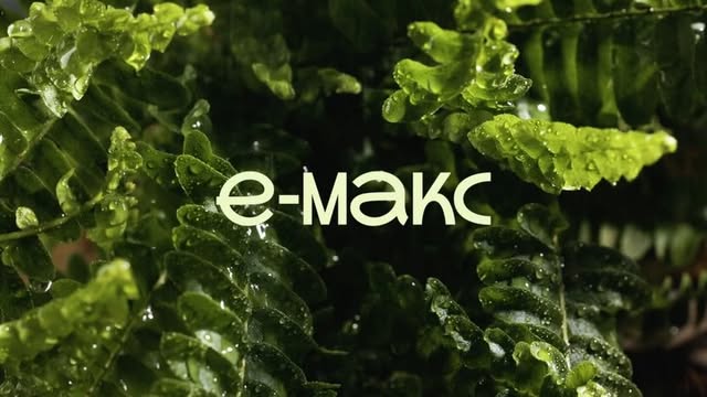 E-макс — айдентика